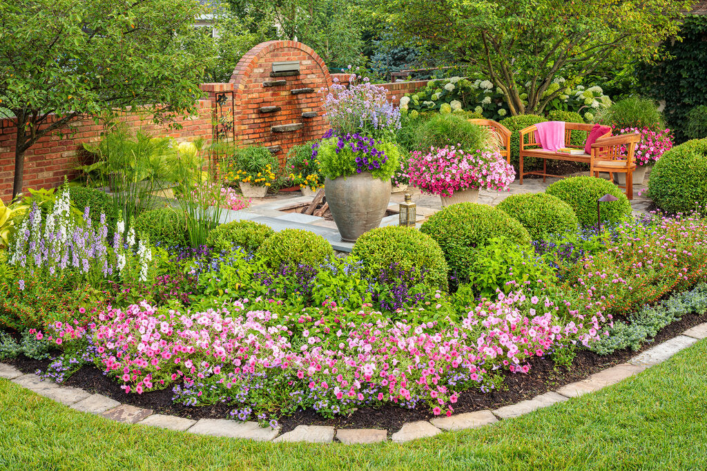 bedding-plants-schenck-farms-greenhouses